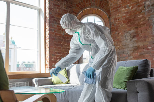 Best Black Mold Removal in Walden, TN